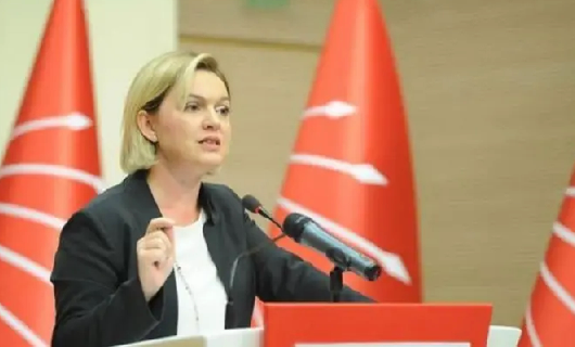 Parti Politikaları